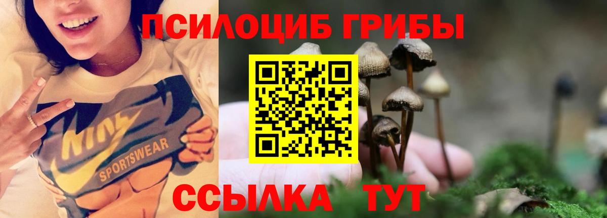 Псилоцибиновые грибы прущие грибы  Галлюциногенные грибы Cubensis  Алатырь  где продают наркотики  Вход с VPN 